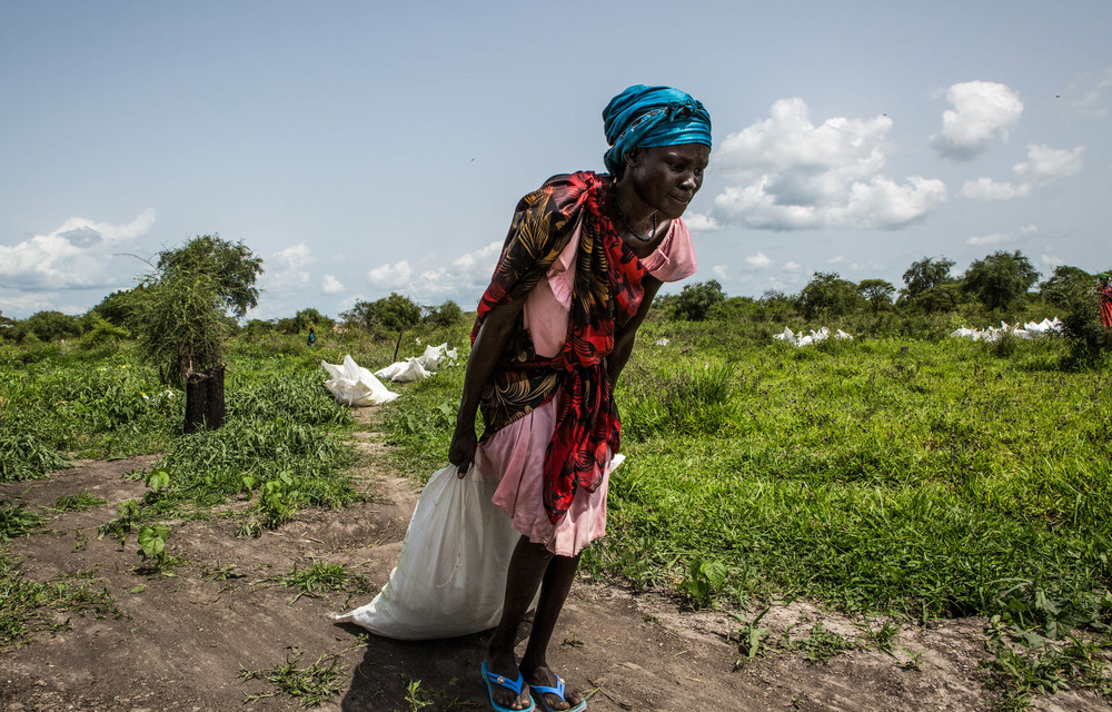 G20 take note: Climate adaptation today will ensure Africa’s thriving future